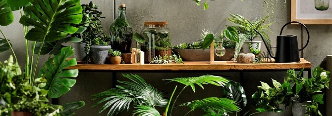 Five Ways To Bring Nature Into Your Home With KOO’s Artificial Plants
