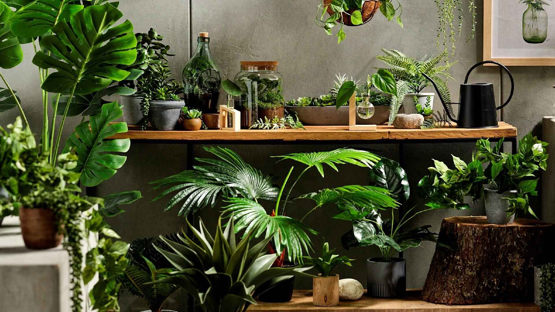 Five Ways To Bring Nature Into Your Home With KOO’s Artificial Plants