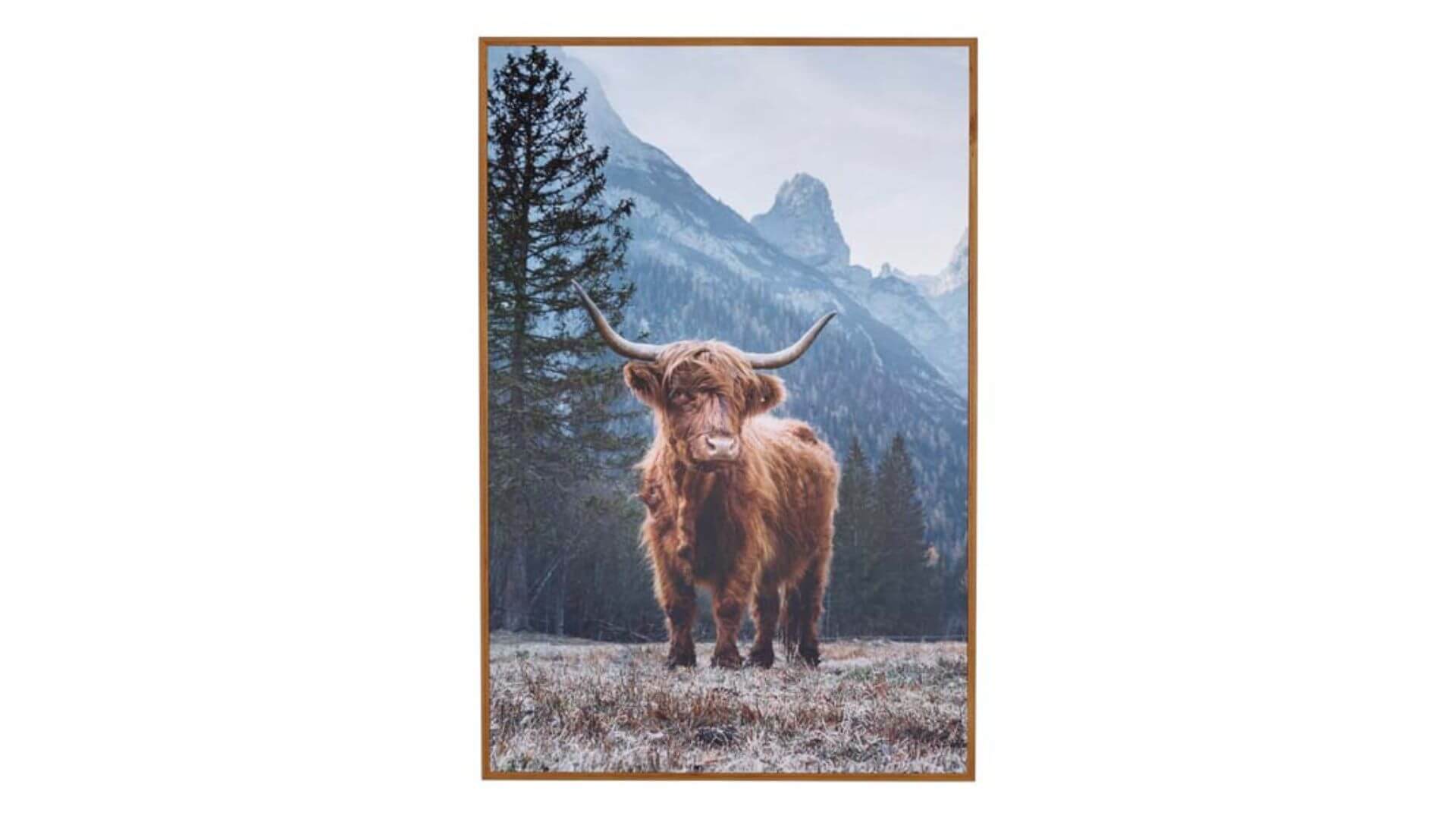 Cooper & Co Highland Cow Framed Art