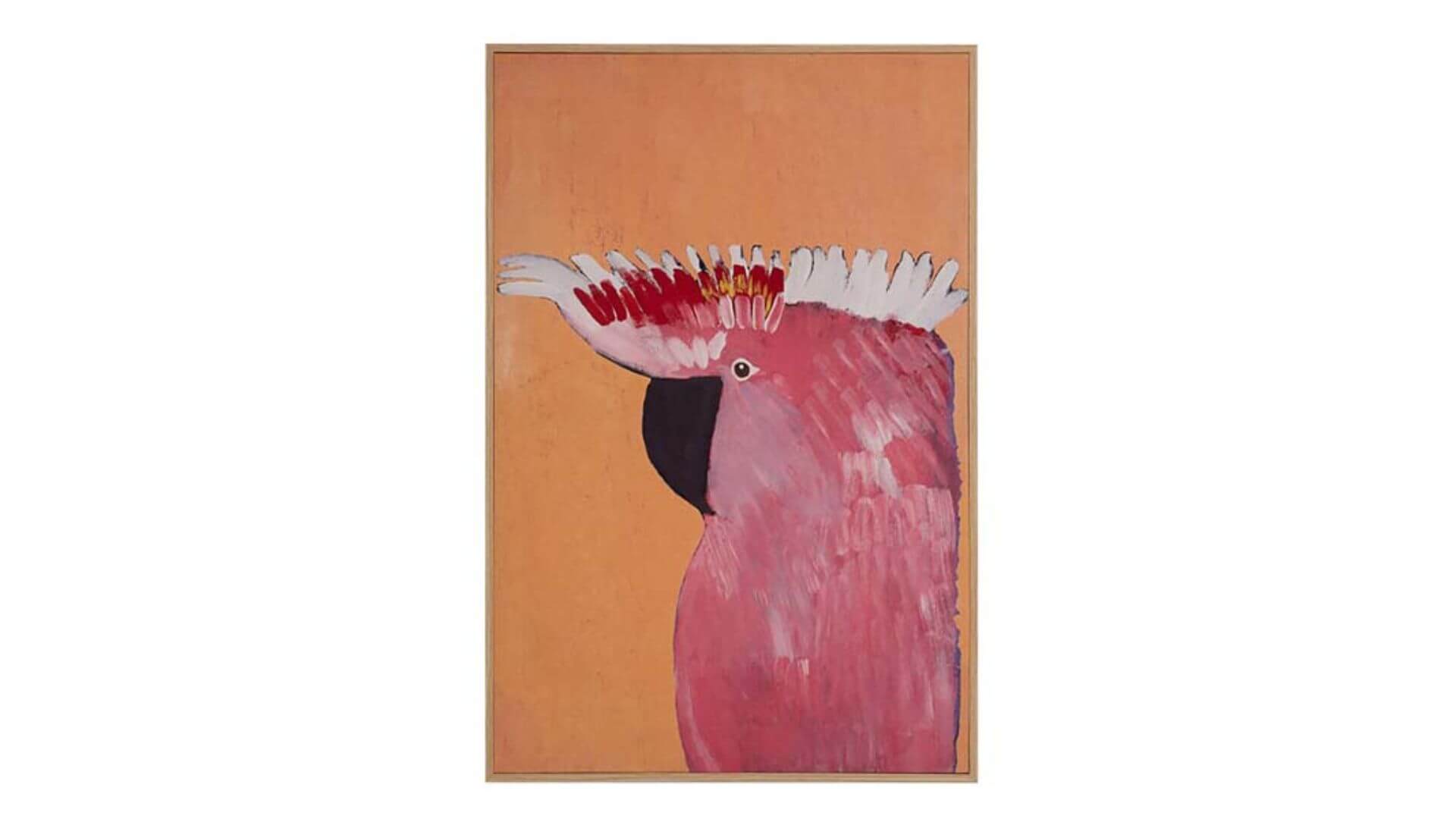 KOO Warlu Galah Framed Canvas