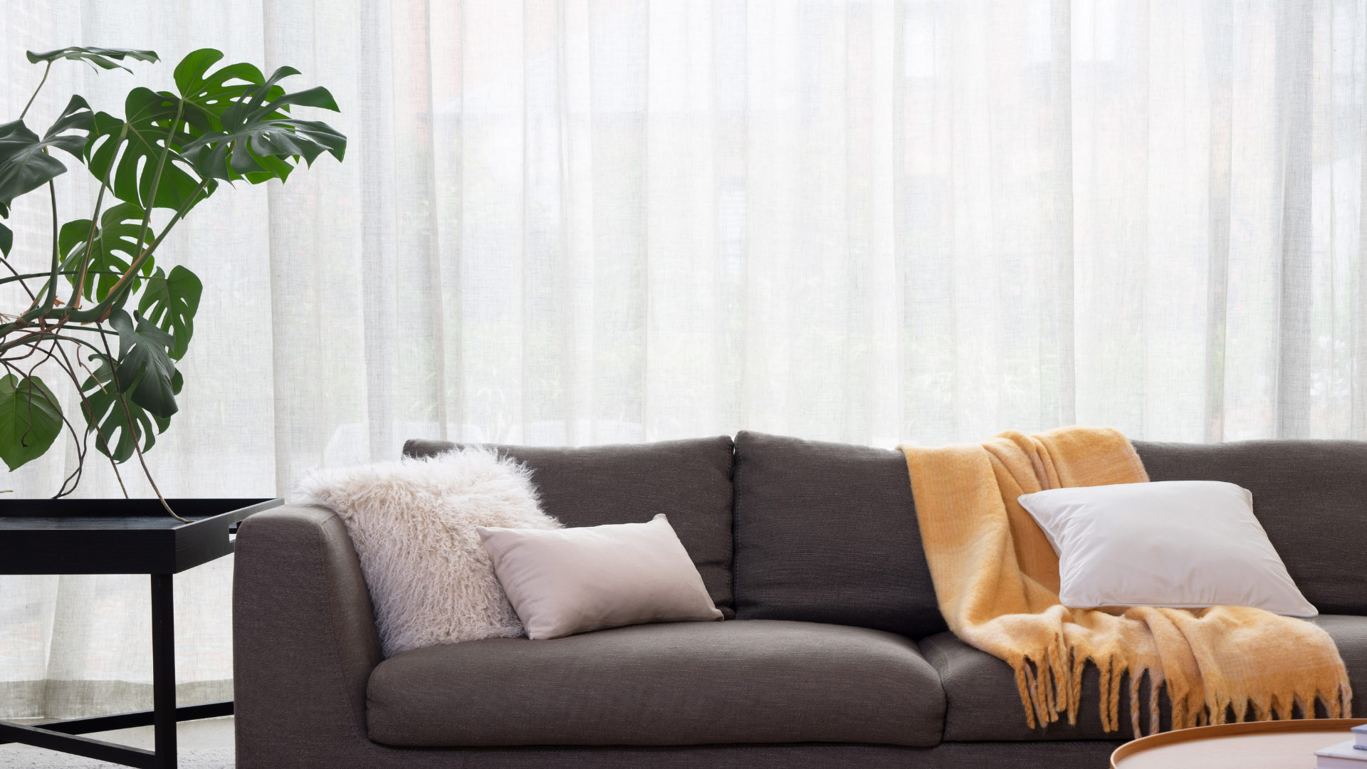 Sheer curtains living room with pillows and yellow blanket on a couch