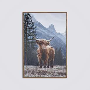Cooper & Co Highland Cow Framed Art Multicoloured 60 x 90 cm