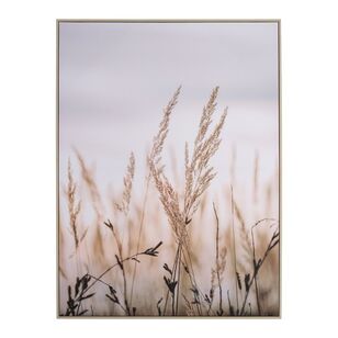 KOO Wild Pampas Framed Canvas Natural 60 x 80 cm