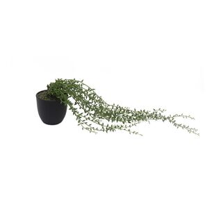 Succulent Long Beans Green 12X43Cm